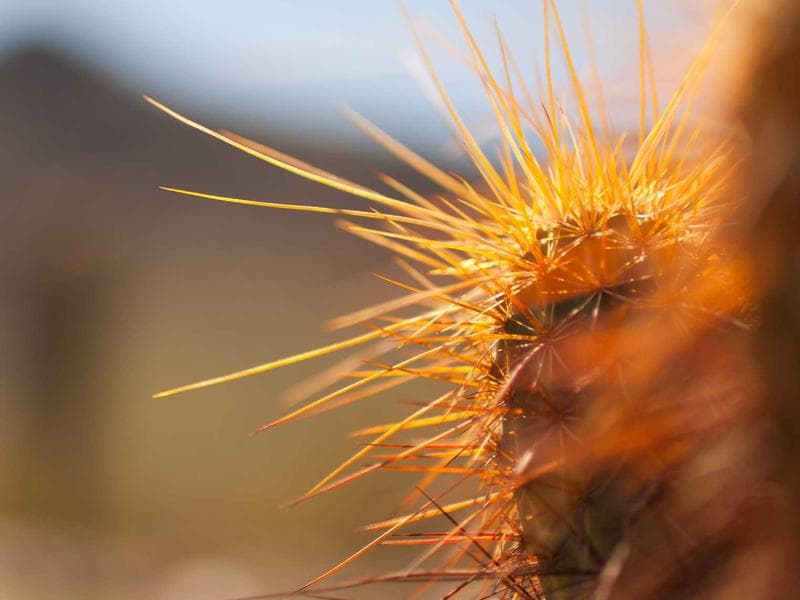 Naejangsan Forest Healing & Temple Stay